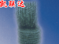 刺绳